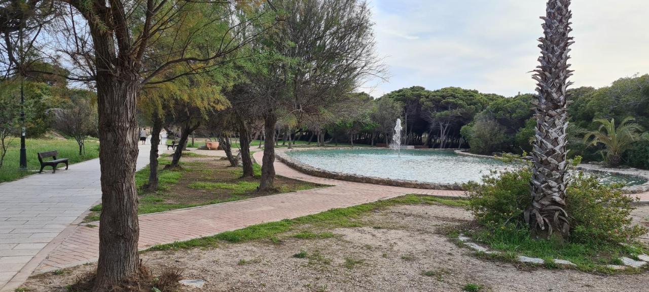 Sofia La Mata La Mata (Torrevieja) Exterior foto