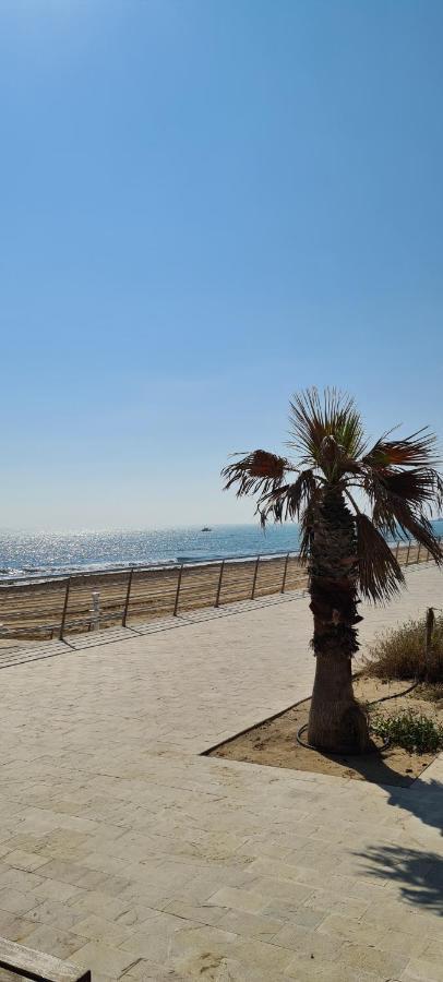 Sofia La Mata La Mata (Torrevieja) Exterior foto