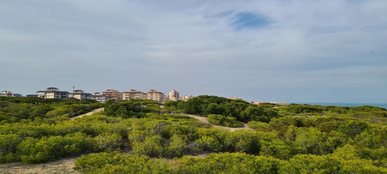 Sofia La Mata La Mata (Torrevieja) Exterior foto